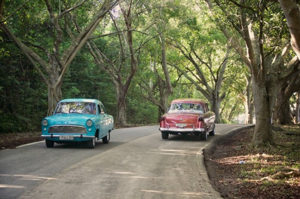 Classic cars on the road to Havana